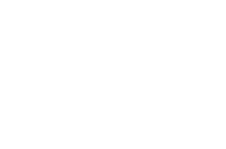 Fast Lane Drive